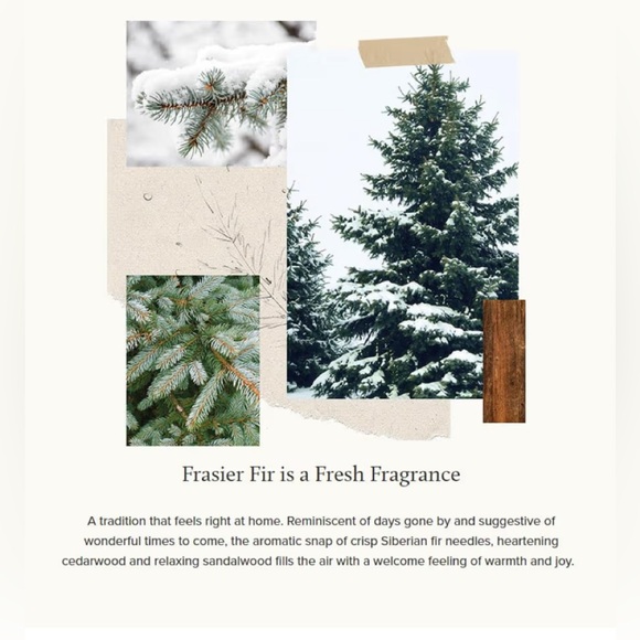 Thymes Frasier Fir Fragrance Refill - Picture 5 of 6